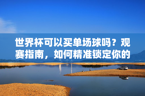 世界杯可以买单场球吗？观赛指南，如何精准锁定你的必看之战，世界杯单场观赛攻略，精准锁定必看之战