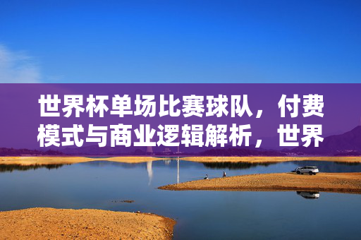 世界杯单场比赛球队，付费模式与商业逻辑解析，世界杯单场比赛球队付费模式与商业逻辑解析