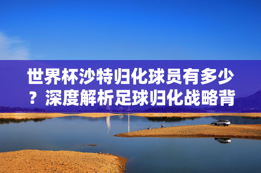 世界杯沙特归化球员有多少？深度解析足球归化战略背后的野心与现实，沙特世界杯归化球员，足球归化战略的野心与现实