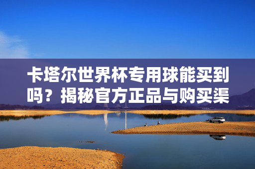 卡塔尔世界杯专用球能买到吗？揭秘官方正品与购买渠道，卡塔尔世界杯专用球能买到吗？官方正品购买渠道揭秘
