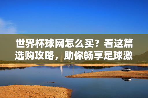 世界杯球网怎么买？看这篇选购攻略，助你畅享足球激情，世界杯球网选购攻略，助你畅享足球激情