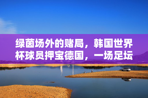 绿茵场外的赌局，韩国世界杯球员押宝德国，一场足坛往事的警示，绿茵场外的赌局，韩国球员押宝德国的足坛警示