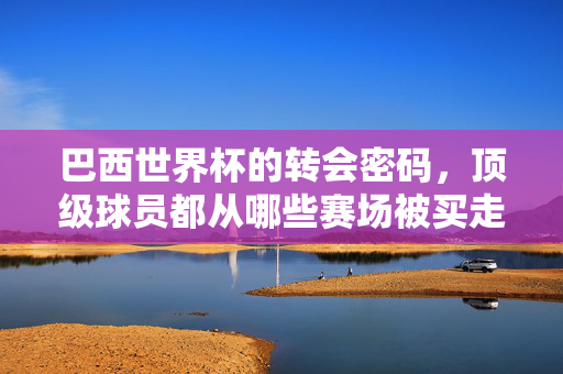 巴西世界杯的转会密码,顶级球员都从哪些赛场被买走?巴西世界杯转会密码,顶级球员的赛场来源
