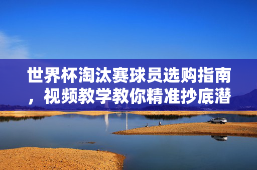 世界杯淘汰赛球员选购指南,视频教学教你精准抄底潜力股!世界杯淘汰赛球员选购视频指南,精准抄底潜力股!