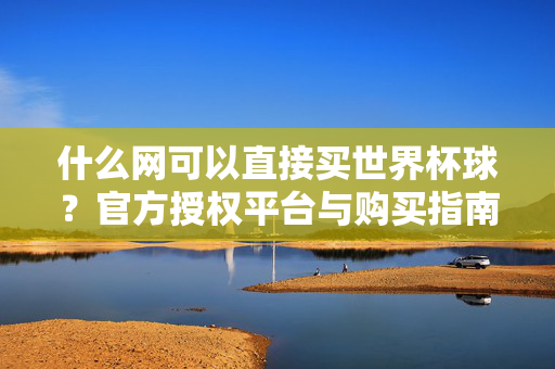 什么网可以直接买世界杯球？官方授权平台与购买指南，世界杯球官方授权购买平台指南