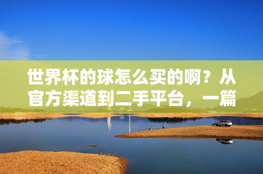 世界杯的球怎么买的啊?从官方渠道到二手平台,一篇搞定,世界杯足球购买指南,官方渠道到二手平台,一篇搞定