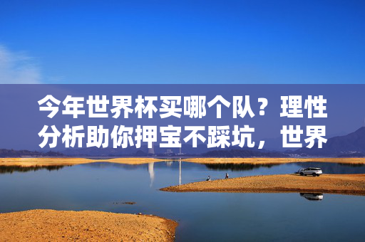 今年世界杯买哪个队？理性分析助你押宝不踩坑，世界杯买队攻略，理性分析助你押宝不踩坑