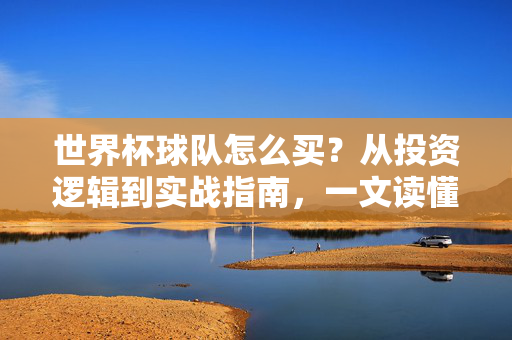 世界杯球队怎么买？从投资逻辑到实战指南，一文读懂足坛生意经，世界杯球队投资指南，从逻辑到实战的生意经