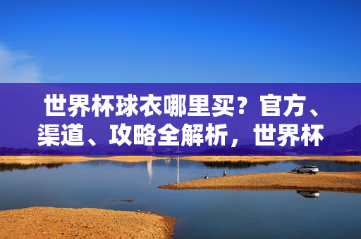 世界杯球衣哪里买？官方、渠道、攻略全解析，世界杯球衣购买全攻略，官方渠道与选购指南解析