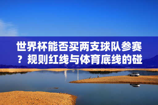 世界杯能否买两支球队参赛？规则红线与体育底线的碰撞，世界杯买两支球队参赛，规则红线与体育底线的碰撞