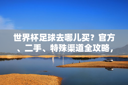 世界杯足球去哪儿买？官方、二手、特殊渠道全攻略，世界杯足球去哪儿买，官方、二手、特殊渠道全攻略
