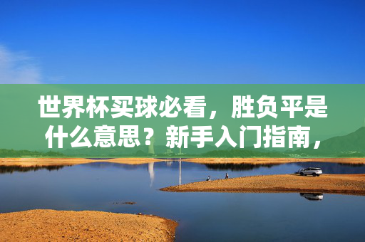 世界杯买球必看,胜负平是什么意思?新手入门指南,世界杯买球胜负平是什么?新手必看指南