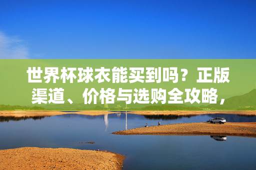 世界杯球衣能买到吗?正版渠道、价格与选购全攻略,世界杯球衣购买全攻略,正版渠道、价格与选购