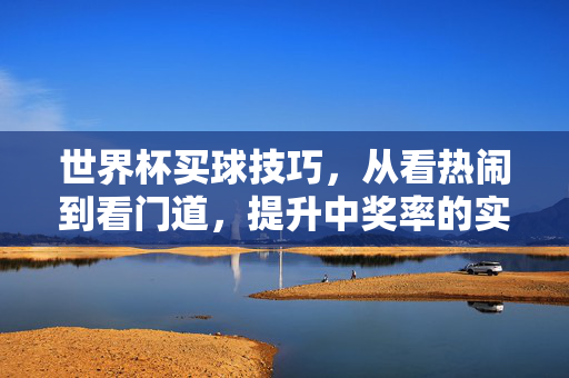世界杯买球技巧,从看热闹到看门道,提升中奖率的实用指南,世界杯买球技巧,从看热闹到看门道,提升中奖率实用指南