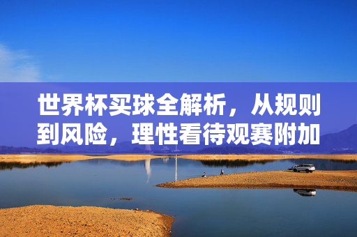 世界杯买球全解析，从规则到风险，理性看待观赛附加项，世界杯买球全解析，规则风险与理性观赛附加项