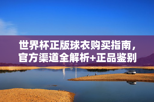 世界杯正版球衣购买指南，官方渠道全解析+正品鉴别技巧，世界杯正版球衣购买指南，官方渠道全解析与正品鉴别技巧
