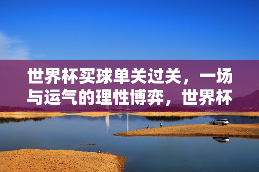 世界杯买球单关过关，一场与运气的理性博弈，世界杯买球单关，运气的理性博弈