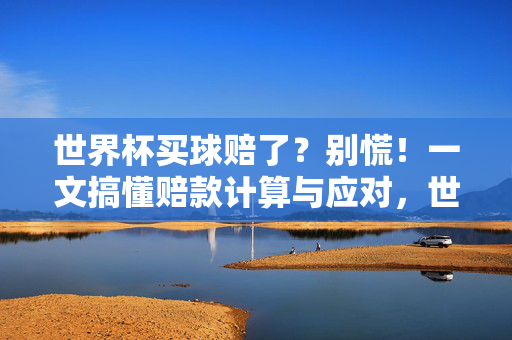 世界杯买球赔了?别慌!一文搞懂赔款计算与应对,世界杯买球赔了?别慌!赔款计算与应对