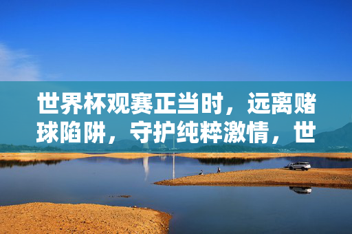 世界杯观赛正当时，远离赌球陷阱，守护纯粹激情，世界杯观赛，拒赌球，护激情
