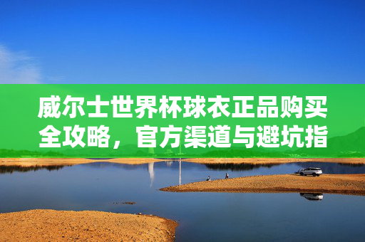 威尔士世界杯球衣正品购买全攻略,官方渠道与避坑指南,威尔士世界杯球衣正品购买全攻略,官方渠道与避坑指南