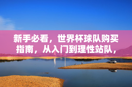 新手必看，世界杯球队购买指南，从入门到理性站队，新手世界杯球队站队指南，从入门到理性