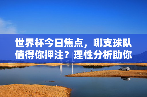 世界杯今日焦点，哪支球队值得你押注？理性分析助你看透赛场风云，世界杯今日焦点，理性分析哪支球队值得押注？
