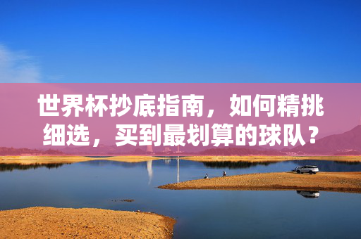世界杯抄底指南，如何精挑细选，买到最划算的球队？世界杯抄底指南，精挑最划算球队