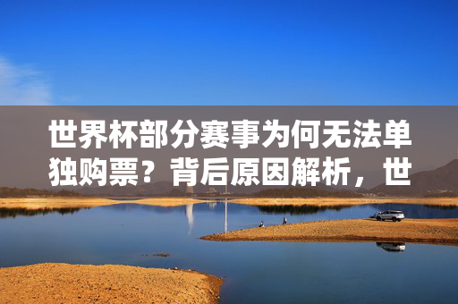 世界杯部分赛事为何无法单独购票？背后原因解析，世界杯部分赛事为何无法单独购票？背后原因解析