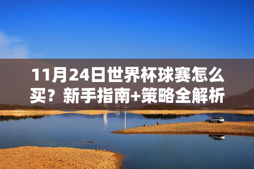 11月24日世界杯球赛怎么买？新手指南+策略全解析，11月24日世界杯球赛购买指南，新手策略全解析