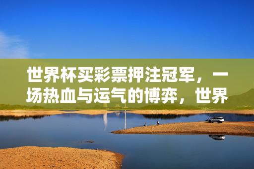 世界杯买彩票押注冠军，一场热血与运气的博弈，世界杯押注冠军，热血与运气的博弈