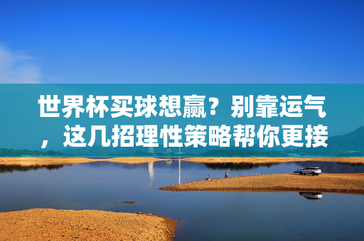 世界杯买球想赢？别靠运气，这几招理性策略帮你更接近正确判断，世界杯买球别靠运气，理性策略助你更接近正确判断