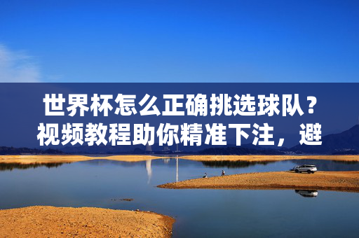 世界杯怎么正确挑选球队?视频教程助你精准下注,避开天坑!世界杯正确选队视频教程,精准下注避开天坑!