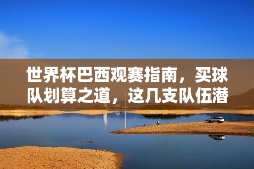 世界杯巴西观赛指南，买球队划算之道，这几支队伍潜力与性价比并存，世界杯巴西观赛指南，买球队潜力性价比攻略