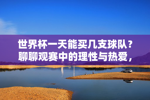 世界杯一天能买几支球队？聊聊观赛中的理性与热爱，世界杯观赛，买球队的理性与热爱