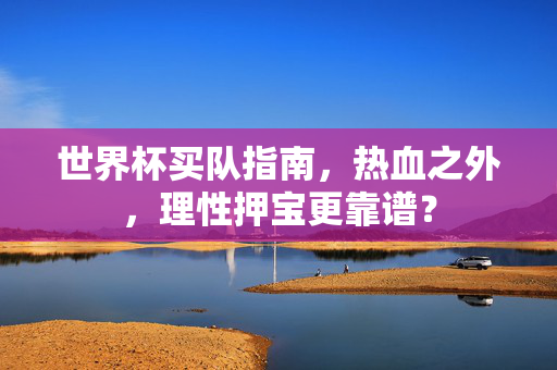 世界杯买队指南,热血之外,理性押宝更靠谱?