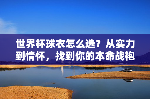 世界杯球衣怎么选?从实力到情怀,找到你的本命战袍,世界杯球衣,实力与情怀,找到你的本命战袍