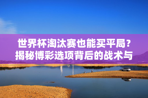 世界杯淘汰赛也能买平局?揭秘博彩选项背后的战术与数据逻辑,揭秘世界杯淘汰赛平局博彩,战术与数据逻辑