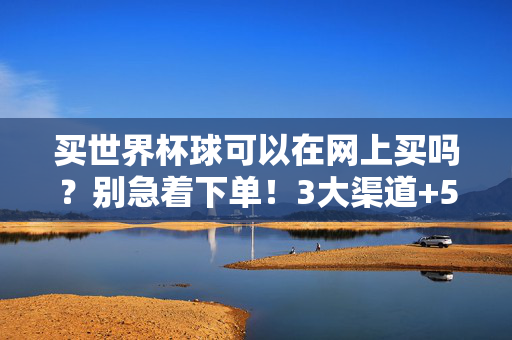 买世界杯球可以在网上买吗？别急着下单！3大渠道+5个避坑指南，新手也能闭眼入，新手买世界杯球，3大渠道+5避坑指南，闭眼不踩坑