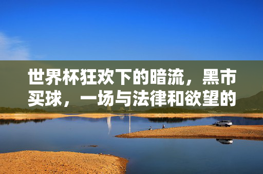 世界杯狂欢下的暗流，黑市买球，一场与法律和欲望的危险共舞，世界杯狂欢暗涌，黑市赌球的法律与欲望危险共舞
