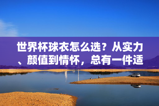世界杯球衣怎么选？从实力、颜值到情怀，总有一件适合你！世界杯球衣选款，实力、颜值、情怀，总有一件适合你