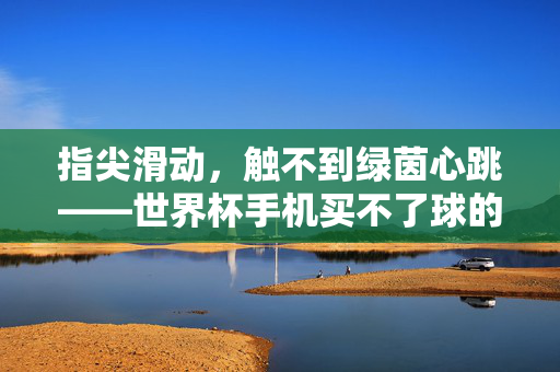 指尖滑动,触不到绿茵心跳——世界杯手机买不了球的遗憾与启示,触不到的绿茵心跳,世界杯手机买票的遗憾与启示