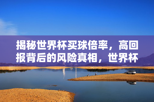 揭秘世界杯买球倍率,高回报背后的风险真相,世界杯买球倍率,高回报背后的风险真相