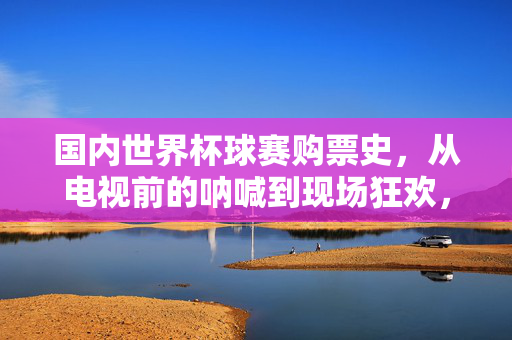 国内世界杯球赛购票史，从电视前的呐喊到现场狂欢，国内世界杯购票史，从电视呐喊到现场狂欢