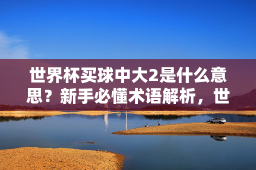 世界杯买球中大2是什么意思？新手必懂术语解析，世界杯买球大2术语解析，新手必懂