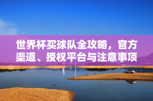 世界杯买球队全攻略，官方渠道、授权平台与注意事项，世界杯买球队全攻略，官方渠道、授权平台与注意事项