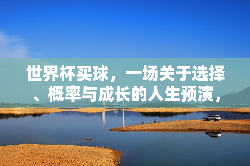 世界杯买球，一场关于选择、概率与成长的人生预演，世界杯买球，一场选择、概率与成长的人生预演