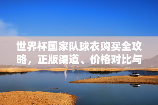 世界杯国家队球衣购买全攻略，正版渠道、价格对比与选购指南，世界杯国家队球衣购买全攻略