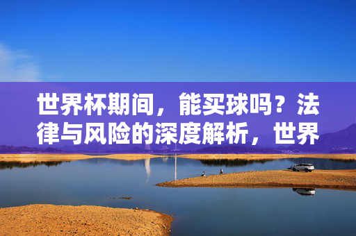 世界杯期间，能买球吗？法律与风险的深度解析，世界杯买球，法律边界与风险警示