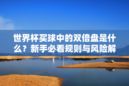 世界杯买球中的双倍盘是什么？新手必看规则与风险解析，世界杯买球双倍盘，新手必看的规则与风险解析