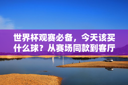 世界杯观赛必备，今天该买什么球？从赛场同款到客厅狂欢款，总有一款球你心！世界杯观赛必备，今天买什么球？赛场同款到客厅狂欢，总有一款合你心！